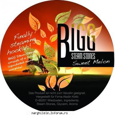 bss bigg steam stones