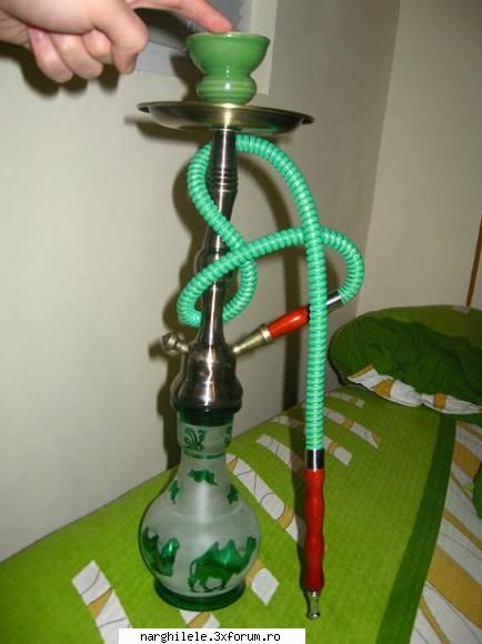 poza 6 mea